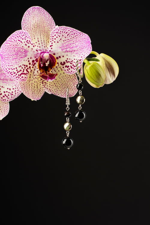 yeralti-orkidesi-cicegi.jpg